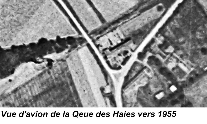 B Site web QDH 1955